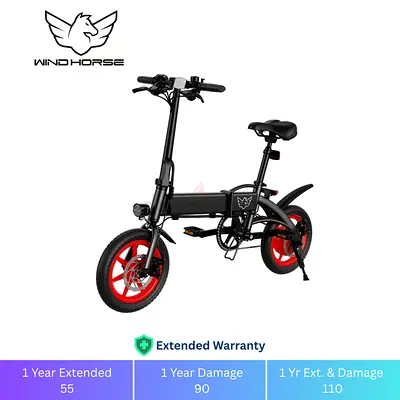 Folding Electric Bike
