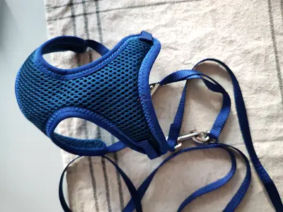 Adjustable Soft Mesh Cat / Dog Harness