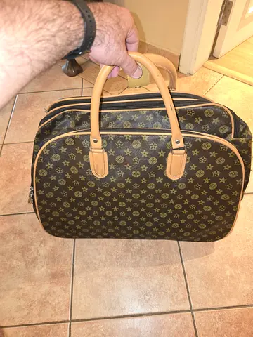 Luis Vuitton hand bag