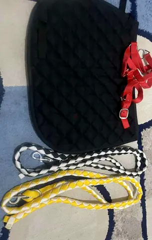 مستلزمات خيل