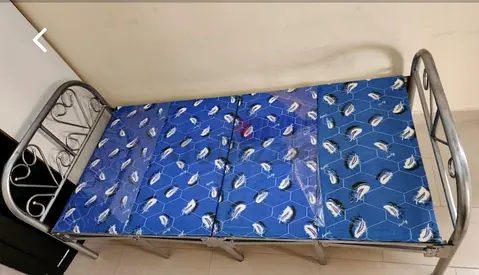 Sturdy Metal Daybed