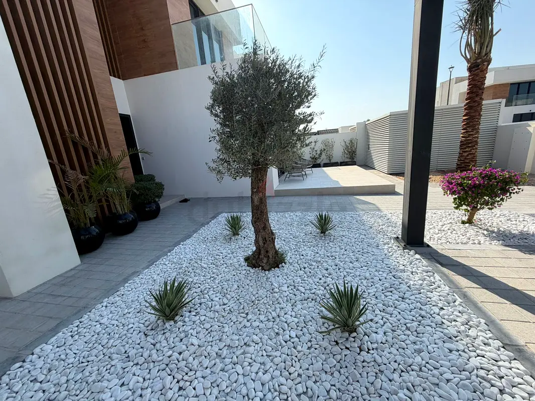 DPV_View_Image_2