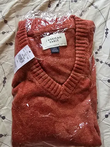 Brand New American Eagle Sweater