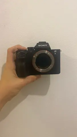 A7sii with a 18-105 or 24-105 price may very