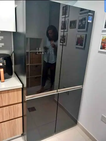 Modern Black Frost-Free Refrigerator