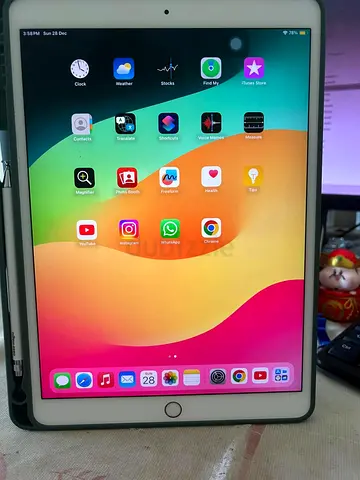 Apple iPad 256gb with Retina Display 10.5inch  for Sale 95% Battery with Oaky Compatible offer