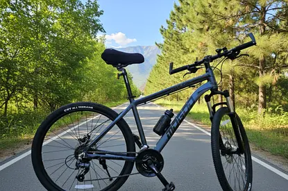 Cycle for sale (vulcan moggo)