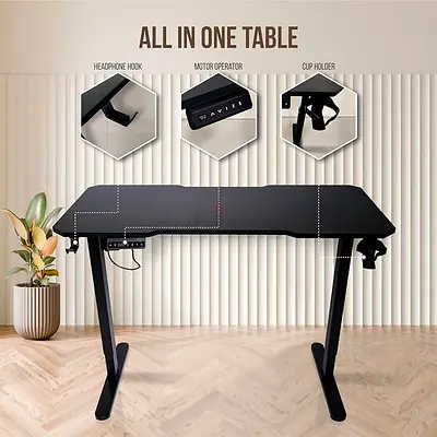 Electric Height Adjustable Desk, 120x60cm Gaming Desk, Sit-Stand Computer Desk for Home Office Use