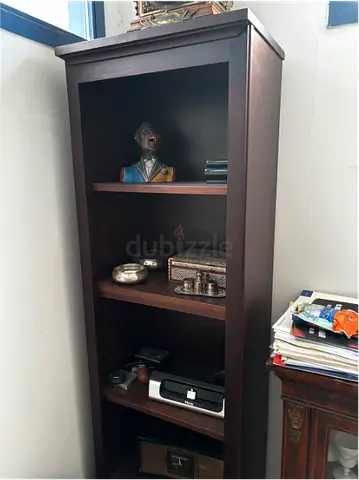 Pottery Barn Thin Bookcase