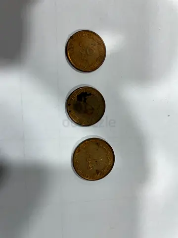 Antique Coins Set - Unique Collectibles