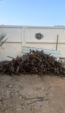 Bulk Firewood for Sale - Ideal for Cooking and Heating