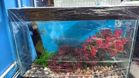 Aquarium