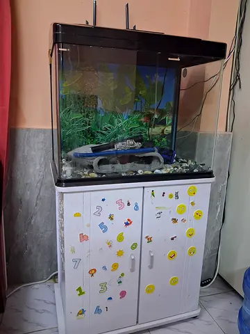 Good Condition Aquarium, all items included