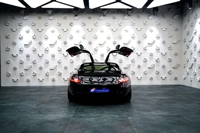 2010 Mercedes-BENZ SLS AMG 照片 7