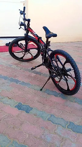 Cycle the fashion bike