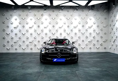 2010 Mercedes-BENZ SLS AMG 缩略图 12