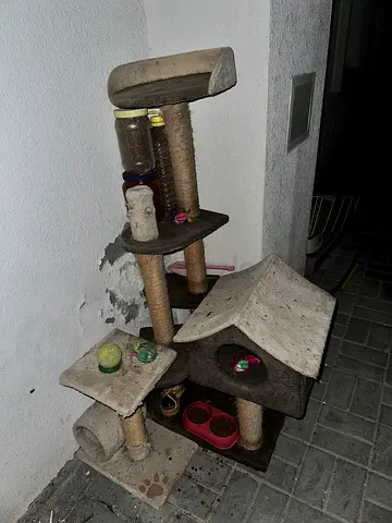 FREE cat  Tree house