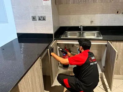 Best Pest Control In Abu Dhabi