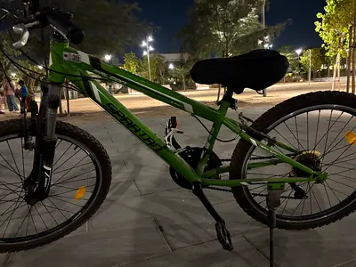 Green Spartan Mountain Bike for Sale- age group 10 to 16 years