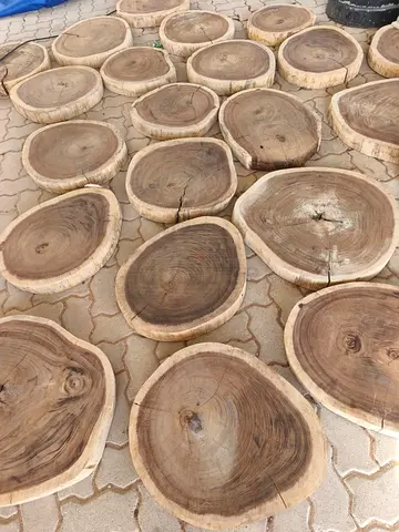 Natural Wooden Slices for Unique Decor and Crafts