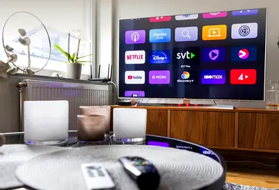 Tv Cinema Wall / Home Maintenance/ Handyman