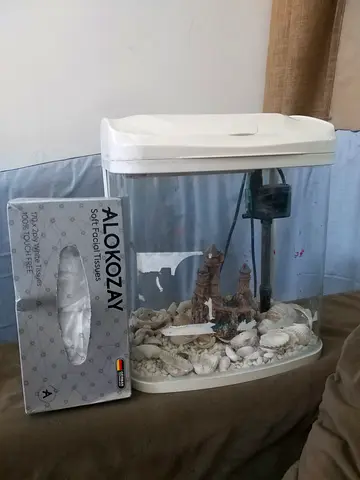 Aquarium with Shells and Toys