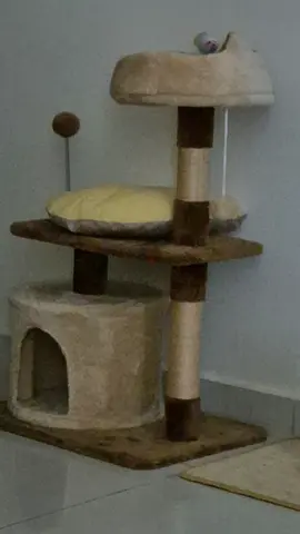 Cat house