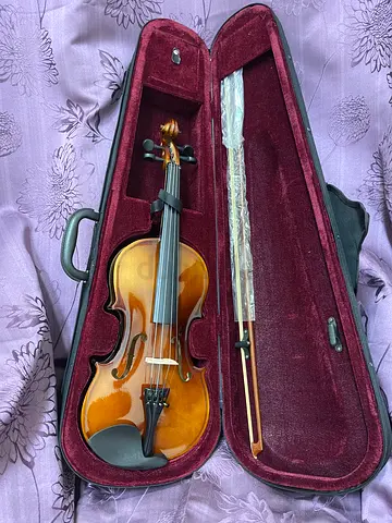 new violin 4/4 for beginners delivery available