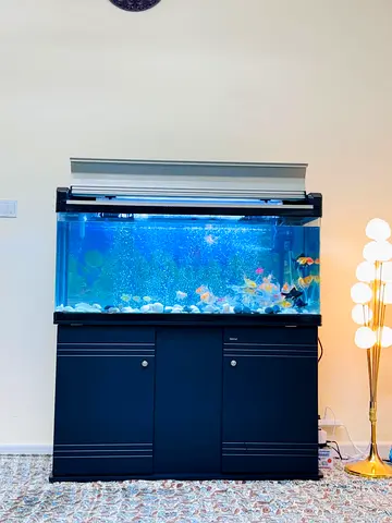 Stylish Fish Tank with Stand for Sale