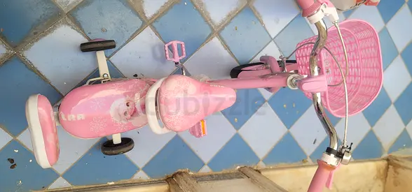 Cute Pink Tricycle for Little Ones