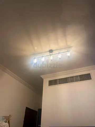 Modern Ceiling Light Fixture with lamps