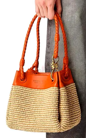 Bottega Veneta bag ( new)