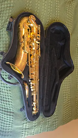 High-Quality Saxophone in Protective Case