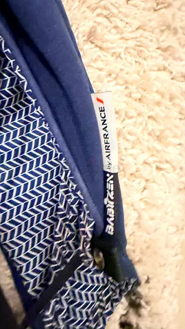 Babysit in Style: Air France Baby Carrier