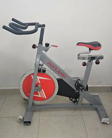 Sky Land Spin Bike for Sale