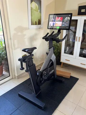 Technogym Bike