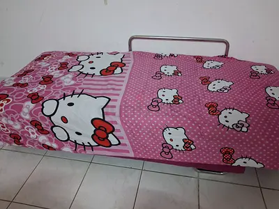 Folding Sofa Bed