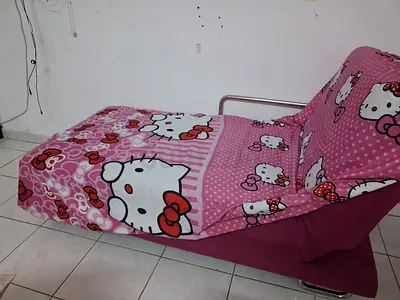 Folding Sofa Bed