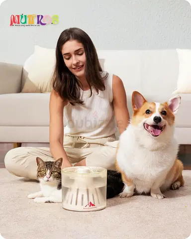 Cat Water Fountain 2.5L/84oz with Volcano Shaped Design, 35dB Ultra-Quiet Pet Water Dispenser for Me