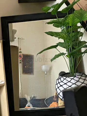 Stylish Black Framed mirror