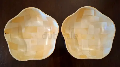 2 Plastic Bowl Plates ٢ صحن بلاستيك غميق