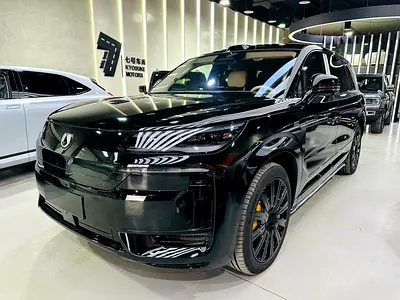 2025 BYD DENZA N9 Flagship Top option