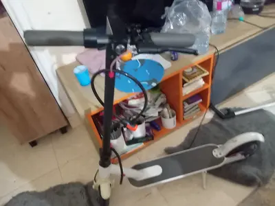 Well-loved Electric Scooter for Sale