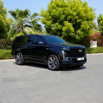 No Deposit | Crypto Accepted