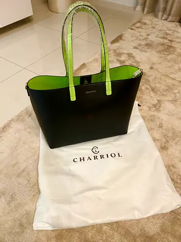 CharrioL Chic Black and Green Handbag