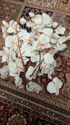 Elegant White Artificial Orchids for Home Decor