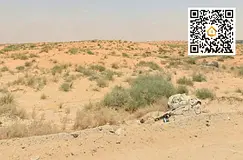 Prime Industrial Land | Barcelona Road (Spare Parts) | Rented until 7/2026 | Al Saja'a | AED 5,9