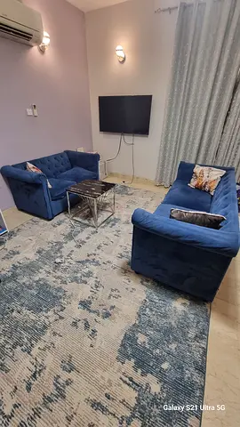 Cozy Blue Sofa Set with Luxurious Rug