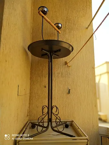 Cage, parrot and stand