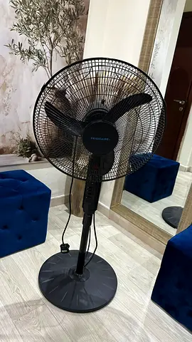 Fan